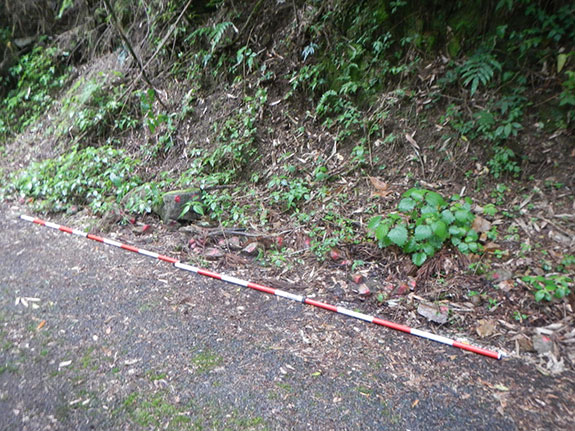 道路防災点検 変状例【落石】