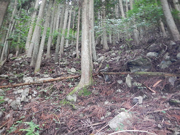 道路防災点検 変状例【転石】