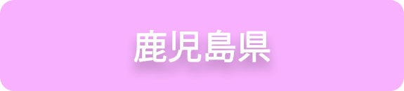 鹿児島県の業務実績