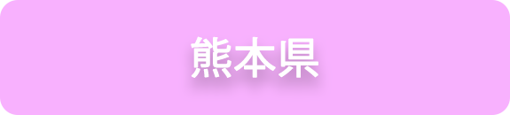 熊本県の業務実績