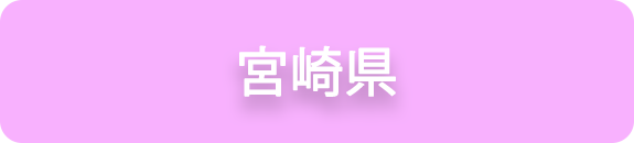 宮崎県の業務実績