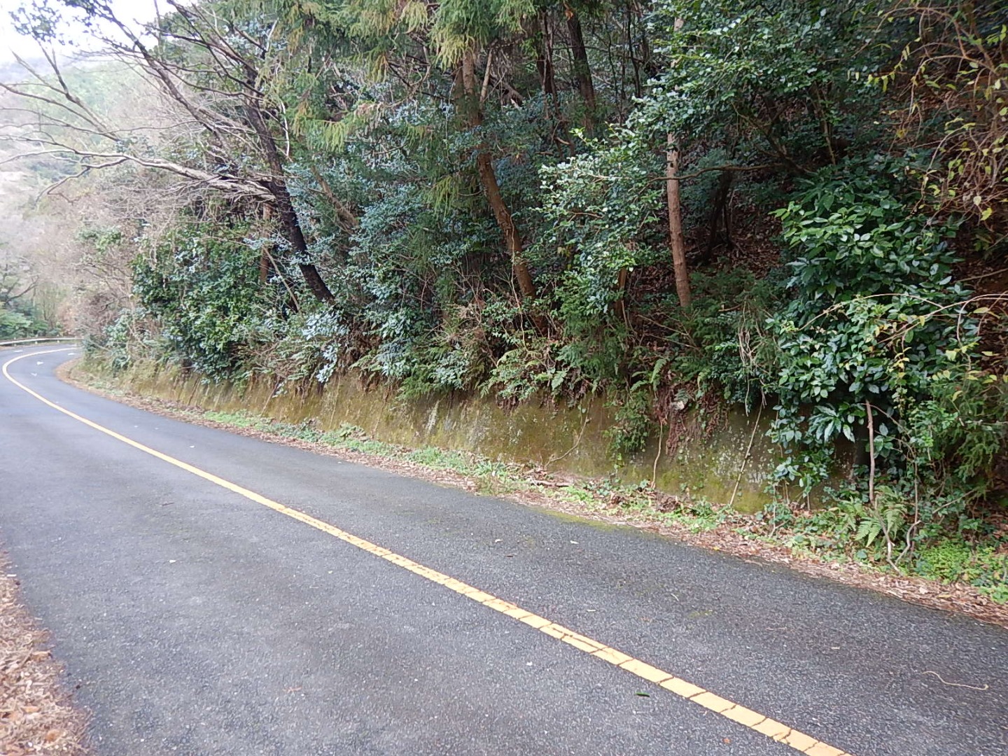 道路防災点検業務